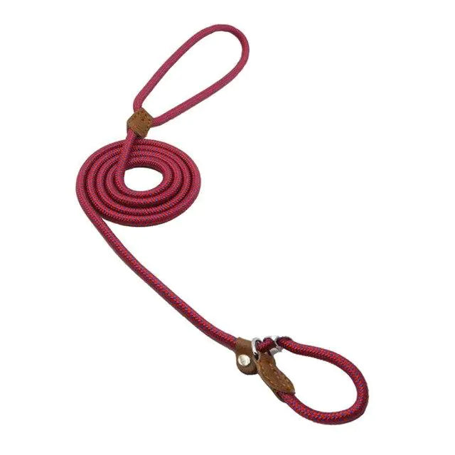 Nylon Pup Set by Endo33 Markets