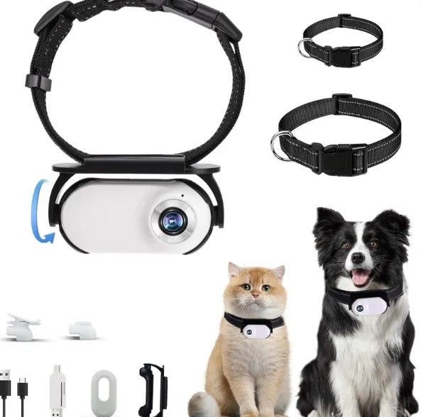 HD Outdoor Portable Pet Viewer Recorder by Endo33 Markets