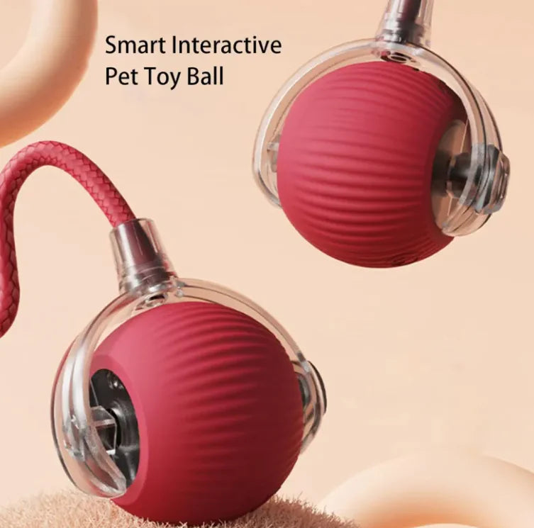 Pets Ball Toy by Endo33 Markets