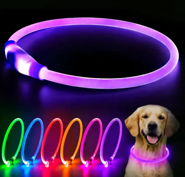 LED Rechargeable Dog Collar by Endo33 Markets