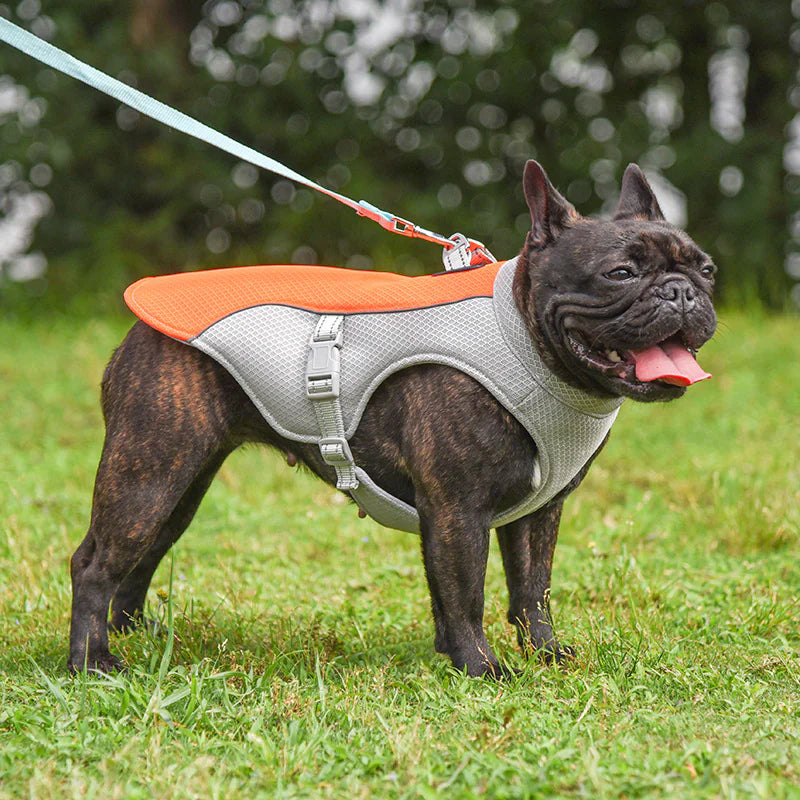 Cooling Vest for Pets by Endo33 Markets