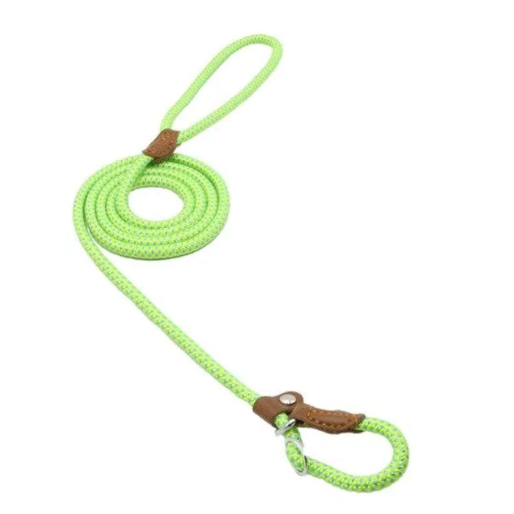 Nylon Pup Set by Endo33 Markets