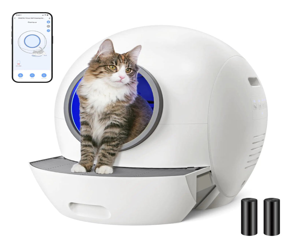 Pet product with a cat inside, showing app interface on screen
