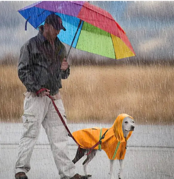Pets Rain Coat by Endo33 Markets