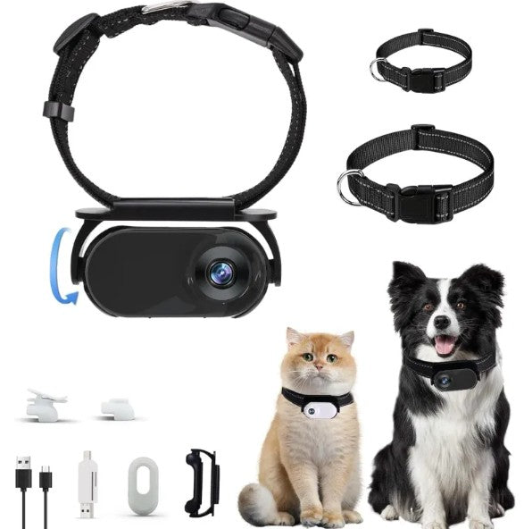 HD Outdoor Portable Pet Viewer Recorder by Endo33 Markets