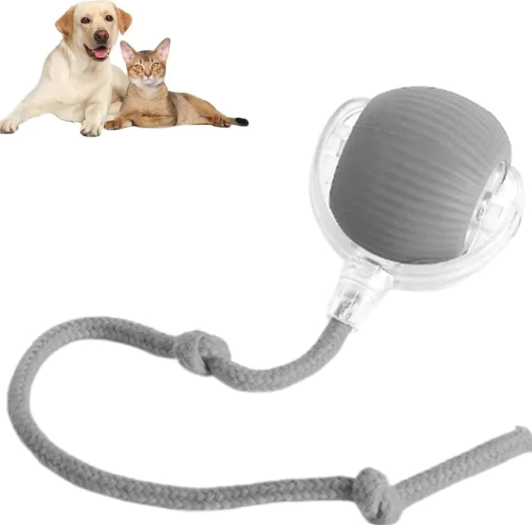 Pets Ball Toy by Endo33 Markets