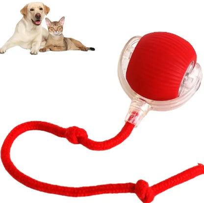 Pets Ball Toy by Endo33 Markets