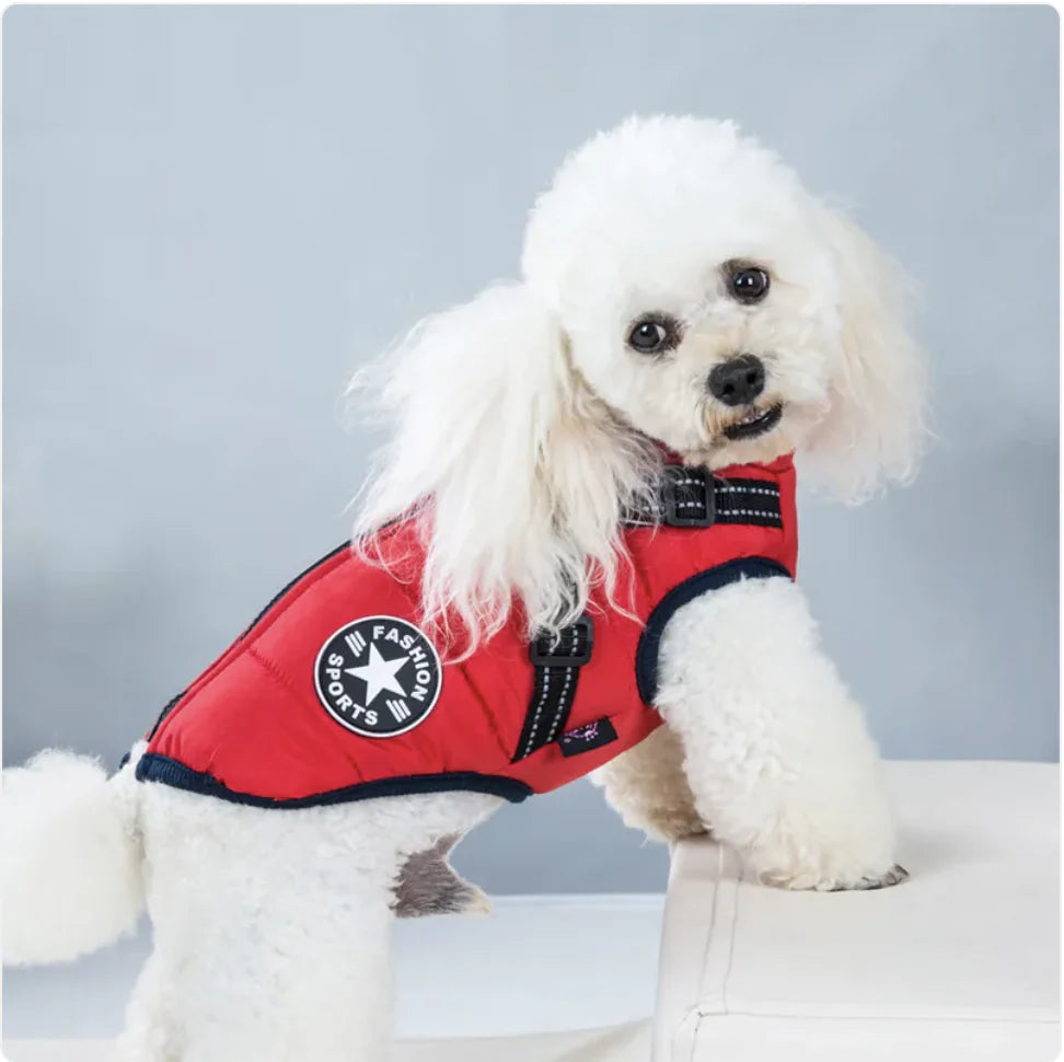 Padded Ski Vest For Pets by Endo33 Markets
