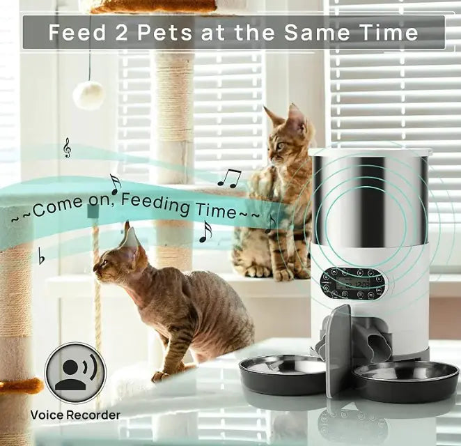 Double Meal Dispenser for Pets by Endo33 Markets