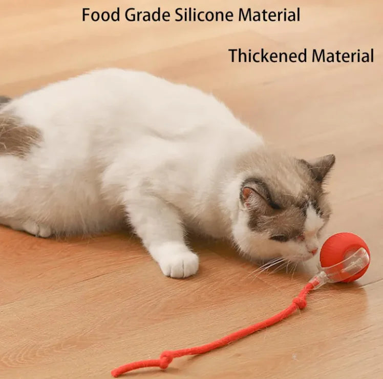 Pets Ball Toy by Endo33 Markets