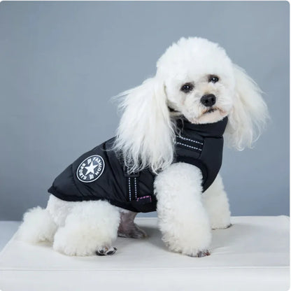 Padded Ski Vest For Pets by Endo33 Markets