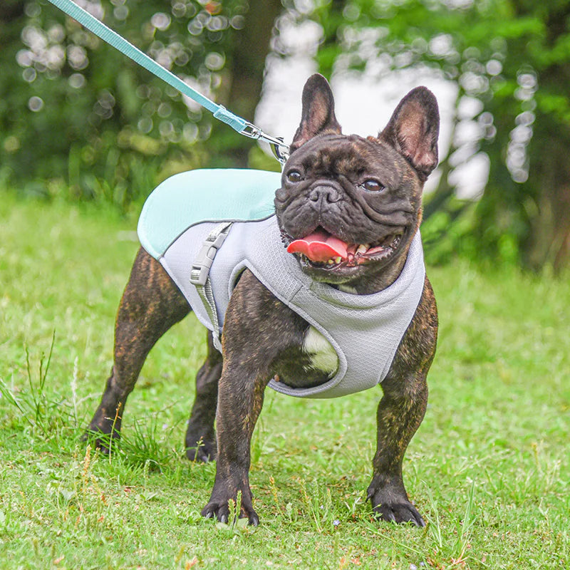 Cooling Vest for Pets by Endo33 Markets