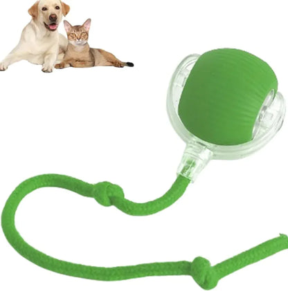Pets Ball Toy by Endo33 Markets