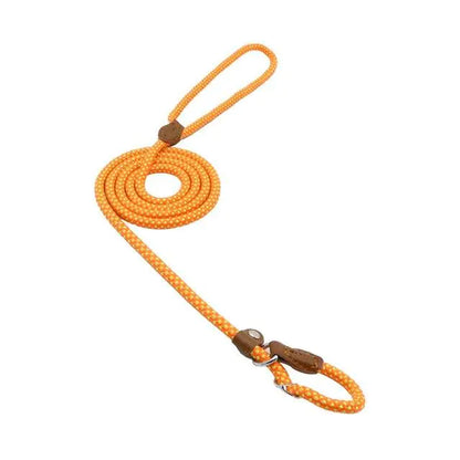 Nylon Pup Set by Endo33 Markets