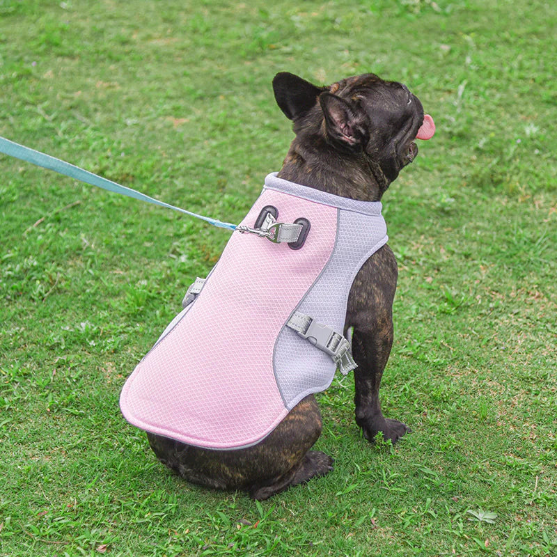 Cooling Vest for Pets by Endo33 Markets