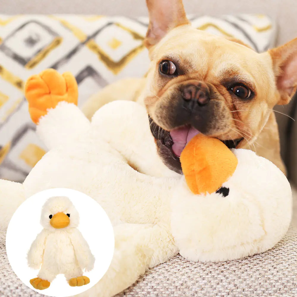 Dog Plush Toys for Pets by Endo33 Markets